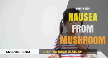 Effective Remedies to Relieve Mushroom-Induced Nausea Quickly and Safely