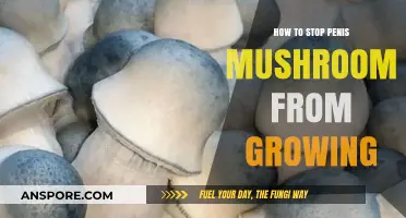Preventing Penis Mushroom Growth: Effective Strategies for Healthy Skin