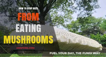 Preventing Sozo's Mushroom Habit: Effective Strategies for a Healthy Diet