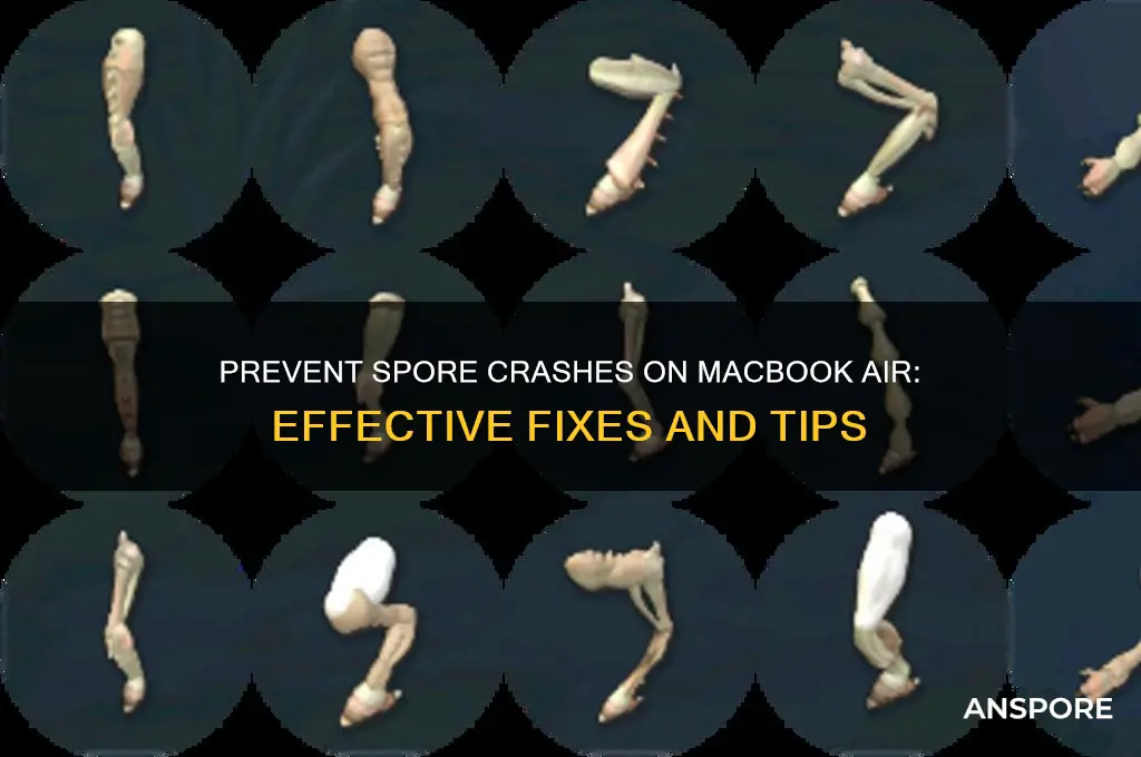 how to stop spore from crashing macbook air