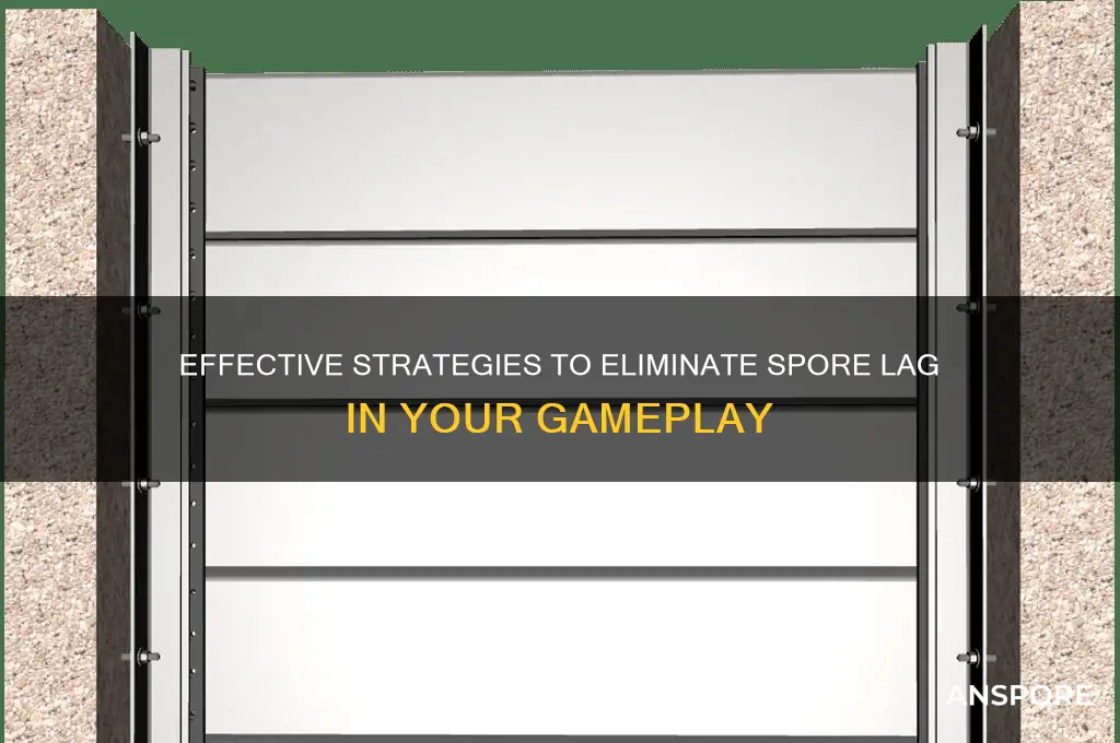 how to stop spore lag