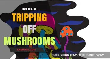 Overcoming Mushroom Trips: Effective Strategies to Regain Control and Calm
