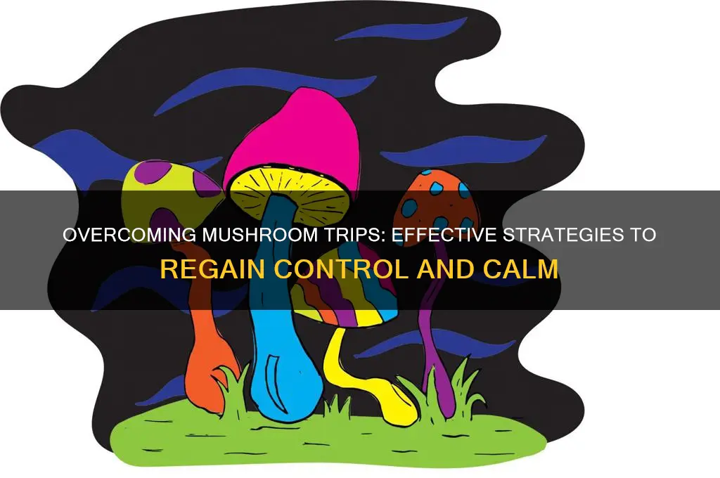how to stop tripping off mushrooms
