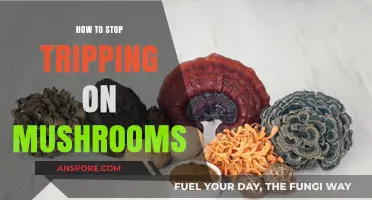 Navigating Psychedelic Journeys: Effective Strategies to Stop Tripping on Mushrooms