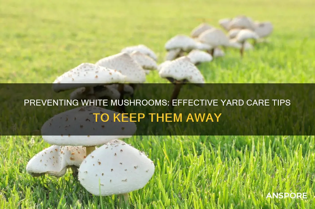how to stop white mushrooms from growing in your yard