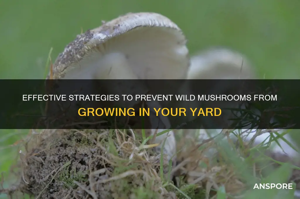 how to stop wild mushrooms from growing
