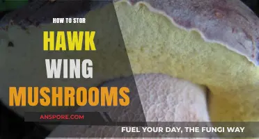 Proper Storage Tips for Preserving Fresh Hawk Wing Mushrooms