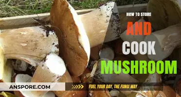 Mastering Mushroom Storage and Cooking: Tips for Freshness and Flavor