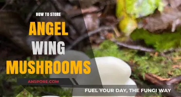 Proper Storage Tips for Fresh Angel Wing Mushrooms at Home