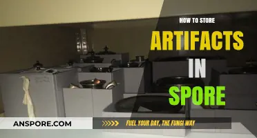 Efficient Artifact Storage Tips for Spore Players: Maximize Space & Organization