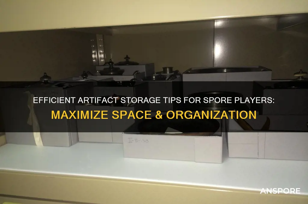 how to store artifacts in spore