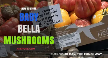 Proper Storage Tips for Fresh Baby Bella Mushrooms at Home