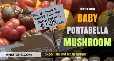 Proper Storage Tips for Fresh Baby Portabella Mushrooms at Home