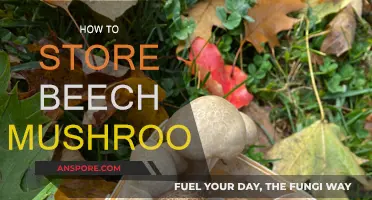 The Ultimate Guide to Storing Beech Mushrooms