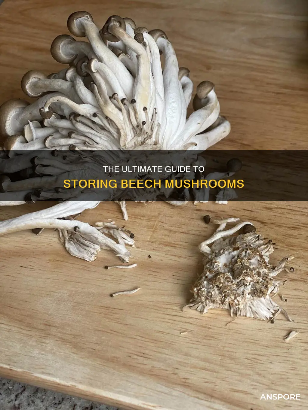 how to store beech mushrooms