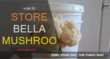 The Best Way to Store Bella Mushrooms