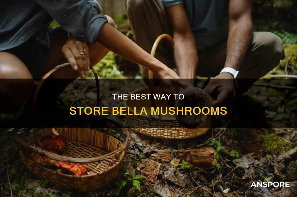 how to store bella mushrooms