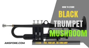 Preserving Black Trumpet Mushrooms: Optimal Storage Tips for Freshness and Flavor