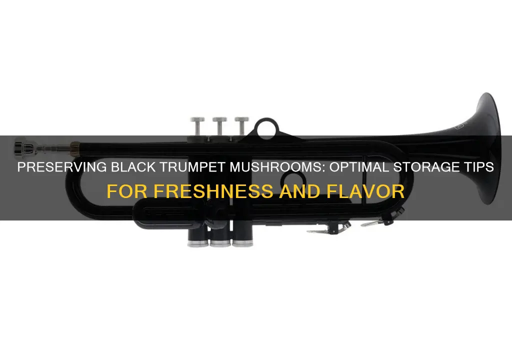 how to store black trumpet mushrooms
