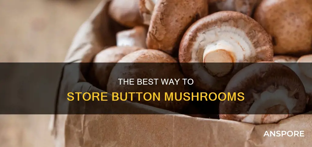 how to store button mushrooms