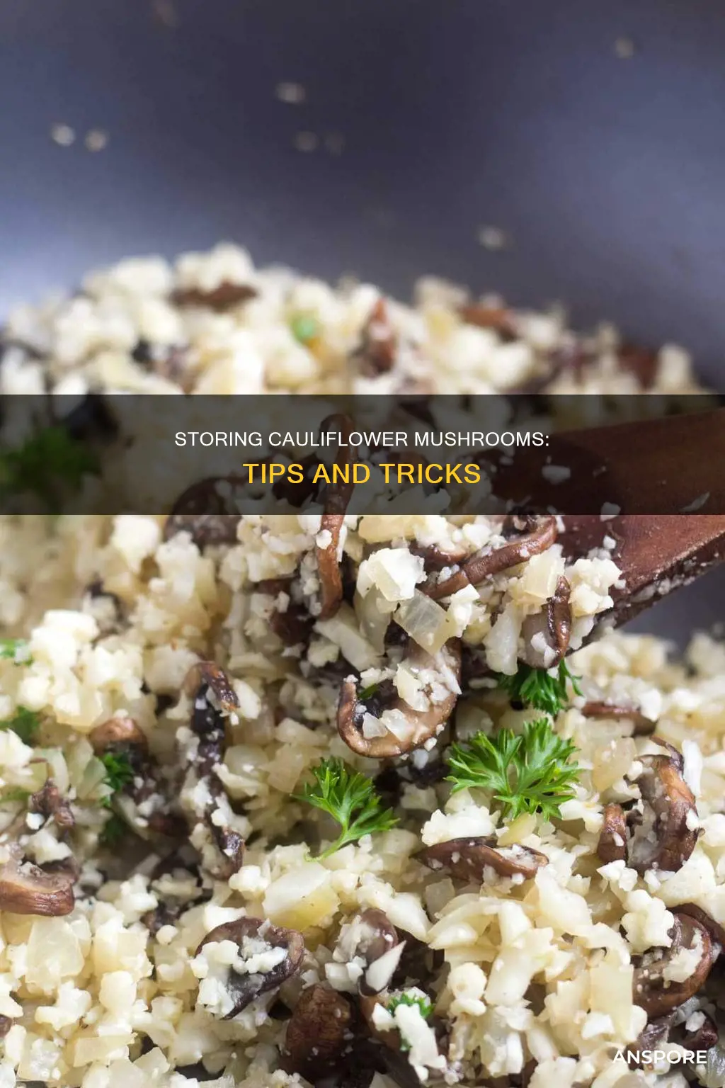 how to store cauliflower mushroom