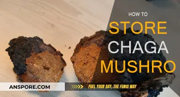 The Ultimate Guide to Storing Chaga Mushrooms