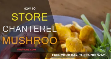 The Best Way to Store Chanterelle Mushrooms