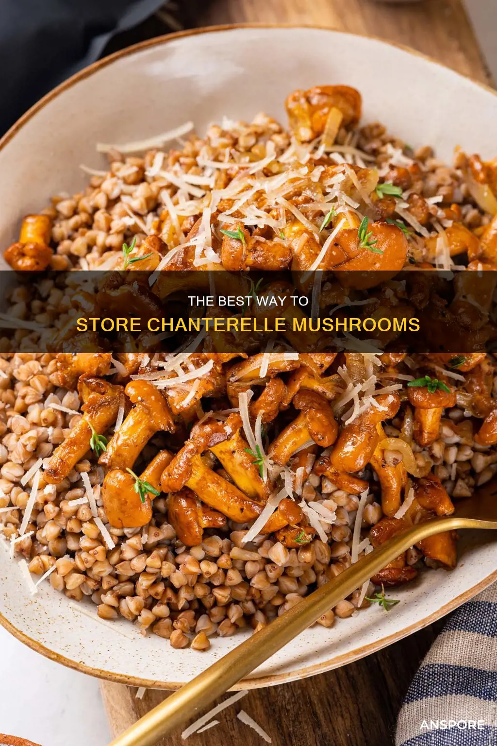 how to store chanterelle mushroom