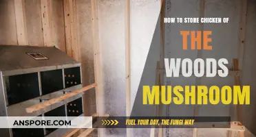 Proper Storage Tips for Fresh Chicken of the Woods Mushrooms