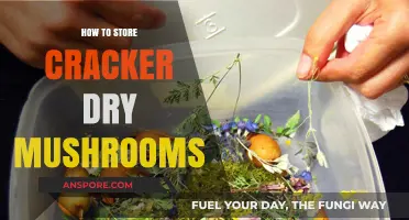Perfectly Preserving Cracker Dry Mushrooms: A Simple Storage Guide