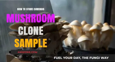 Preserving Psilocybe Cubensis: Effective Clone Sample Storage Techniques