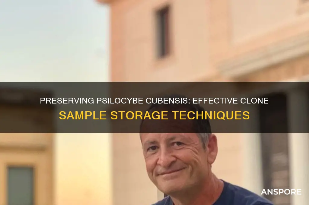 how to store cubensis mushroom clone sample