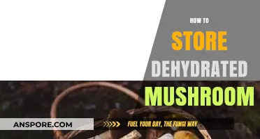 Storing Dehydrated Mushrooms: Best Practices and Tips