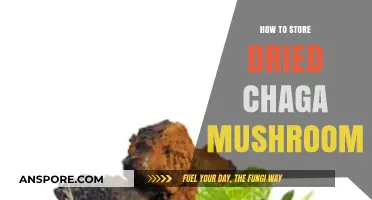 Proper Storage Tips for Preserving Dried Chaga Mushroom's Potency