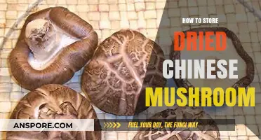 Proper Storage Tips for Dried Chinese Mushrooms: Keep Them Fresh