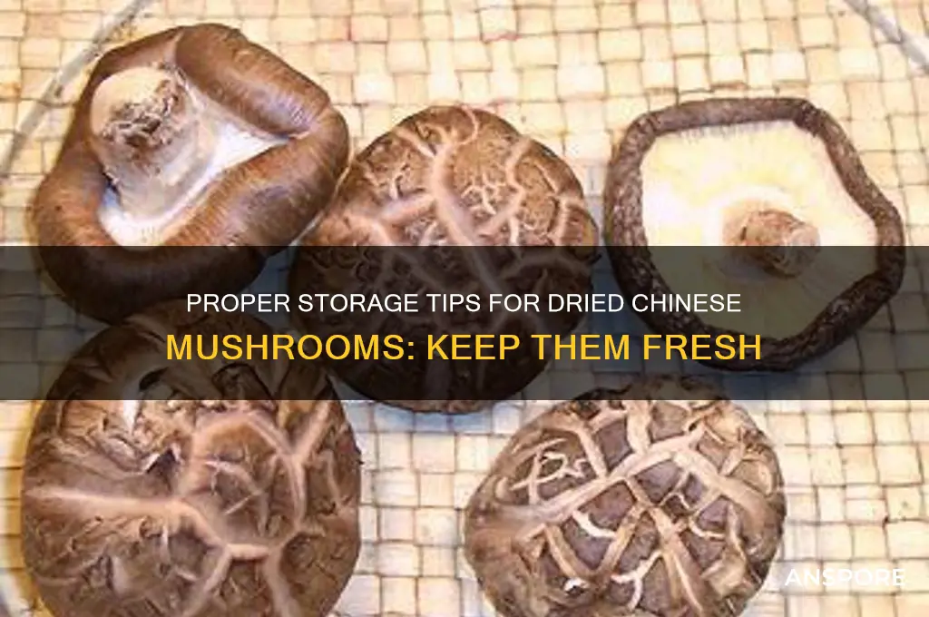 how to store dried chinese mushrooms
