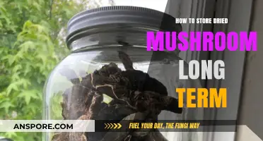 Effective Long-Term Storage Tips for Preserving Dried Mushrooms Freshness