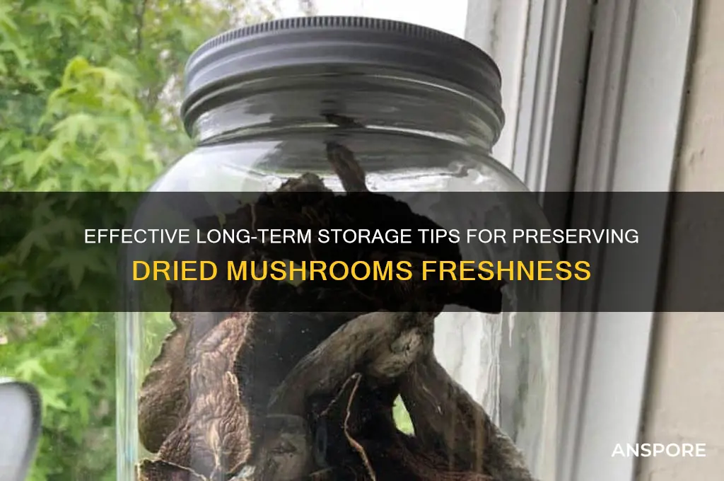 how to store dried mushrooms long term