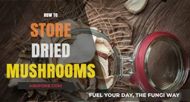 The Best Way to Store Dried Mushrooms