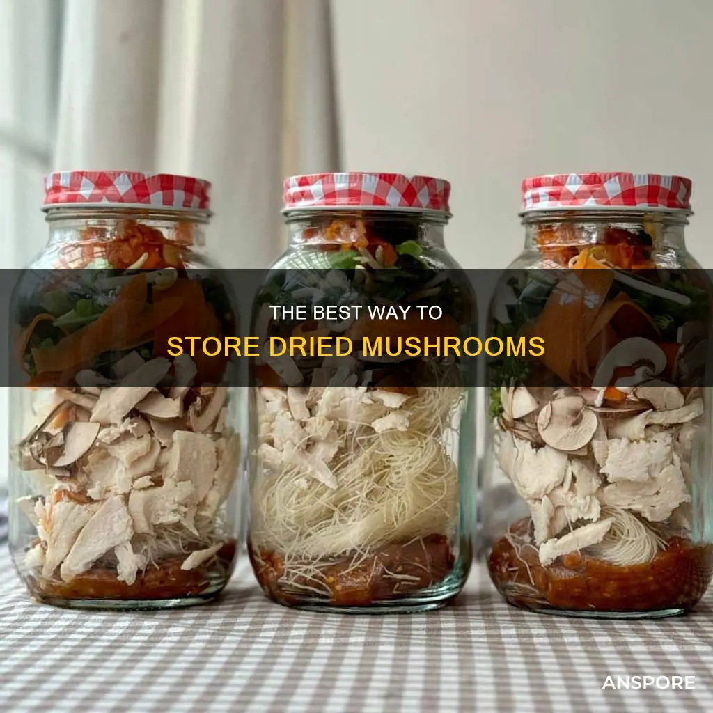 how to store dried mushrooms