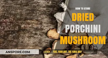 Properly Storing Dried Porcini Mushrooms for Long-Lasting Flavor and Freshness