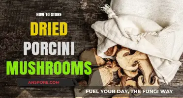 Properly Storing Dried Porcini Mushrooms for Maximum Flavor and Freshness