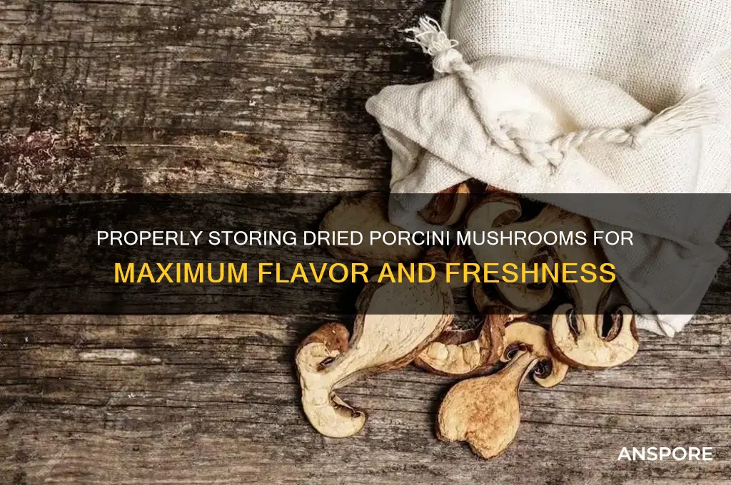 how to store dried porcini mushrooms