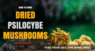 Proper Storage Tips for Preserving Dried Psilocybe Mushrooms Long-Term