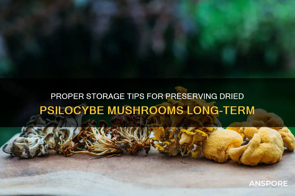 how to store dried psilocybe mushrooms