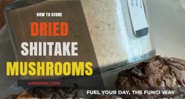 Proper Storage Tips for Preserving Dried Shiitake Mushrooms' Freshness