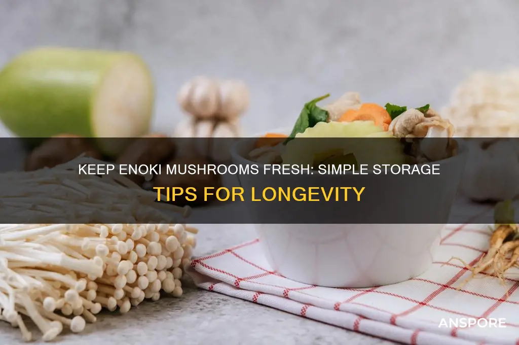 how to store enoki mushroom fresh