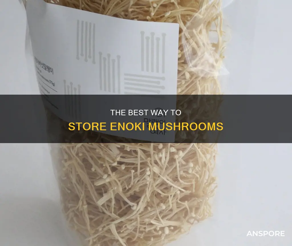 how to store enoki mushrooms
