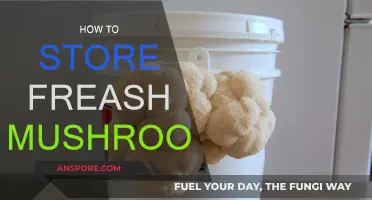 Keep Your Mushrooms Fresh: Best Storage Practices