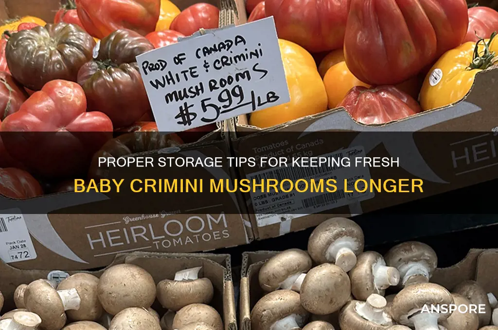 how to store fresh baby crimini mushrooms